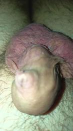 litorale40 webcam model stream image