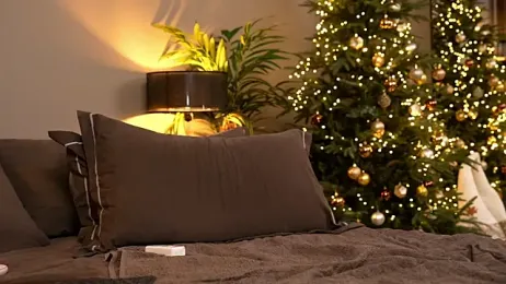 _keeti_ webcam model stream image