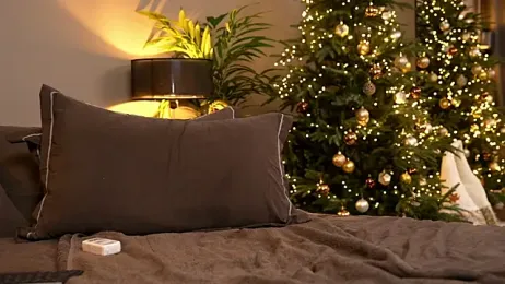 _keeti_ webcam model stream image