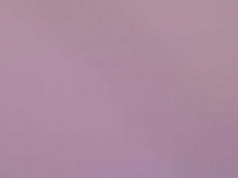 JennyX webcam model stream image