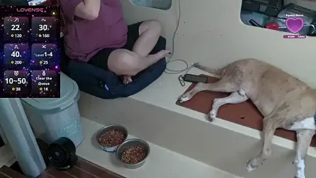 Fast_trip webcam model stream image