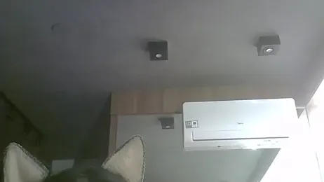 SkinnyKitten webcam model stream image