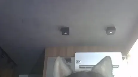 SkinnyKitten webcam model stream image