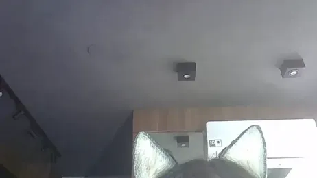 SkinnyKitten webcam model stream image