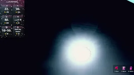 Rossedewitt_ webcam model stream image