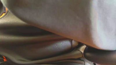 IndienTiger webcam model stream image