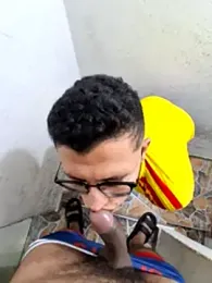 prototipoA45 webcam model stream image