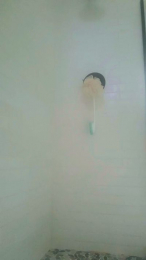 ZorroFan webcam model stream image