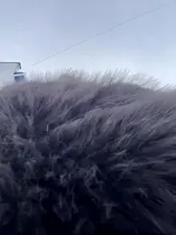 MerlinDave webcam model stream image