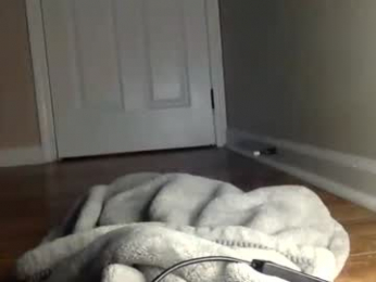 delilalove3412 webcam model stream image