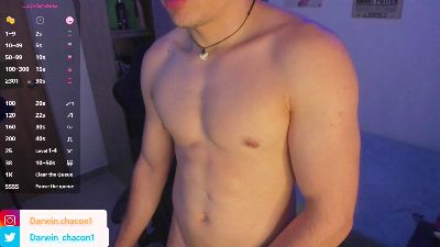 Gaelvillada webcam model stream image