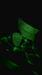 Poloskov86 webcam cam4 model stream image