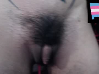 zeldrissss webcam model stream image