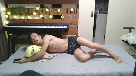 IroManager webcam model stream image
