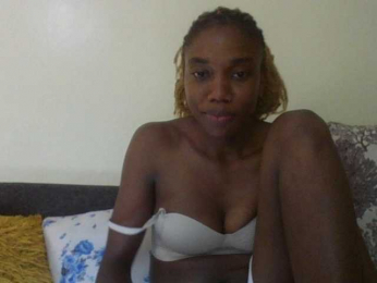 BBQ-Fluid webcam model stream image