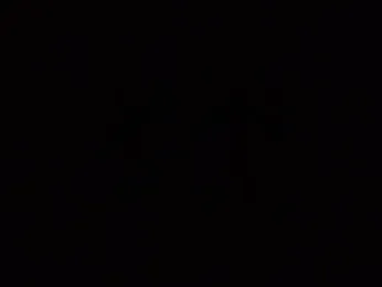 NewHollandschiedam2026 webcam stripchat model stream image