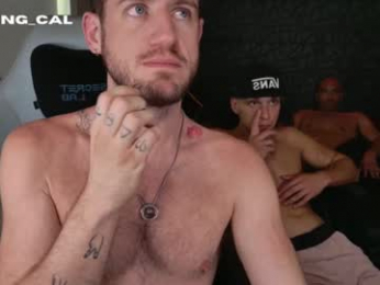 king_cal_ webcam model stream image
