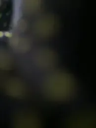 lovebug_69 webcam stripchat model stream image