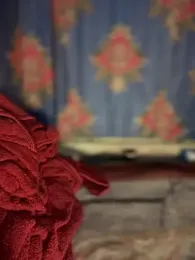 Fredship7890 webcam model stream image