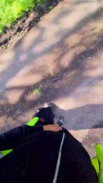 Bigdick95daddy webcam cam4 model stream image