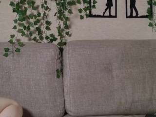 ussebain webcam model stream image