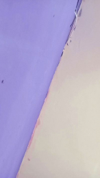 Fox_roxxan webcam model stream image