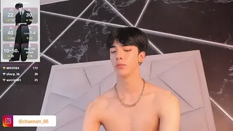 AerumChae webcam model stream image