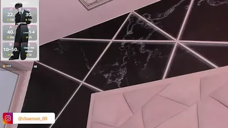 AerumChae webcam model stream image