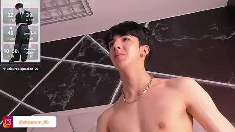 AerumChae webcam model stream image