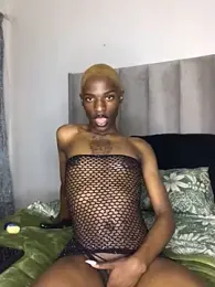 Trans_fairy webcam model stream image