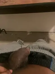 dingoding webcam model stream image