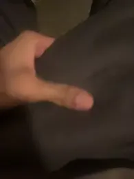 dingoding webcam model stream image