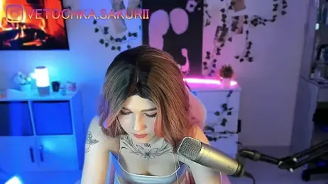 vanslly webcam model stream image