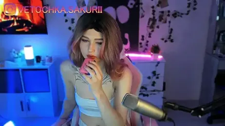 vanslly webcam model stream image