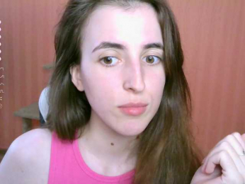 reaiss webcam model stream image