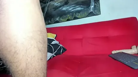 sweatyhairypig23 webcam stripchat model stream image