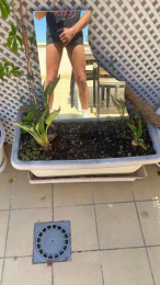 paquito180 webcam model stream image