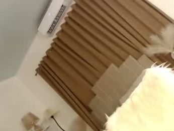 urnauthy_ciliaxxx webcam chaturbate model stream image