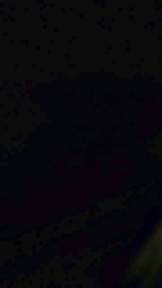 elasfernandohot webcam model stream image