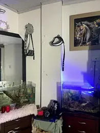 CRAZY-BOY99 webcam model stream image