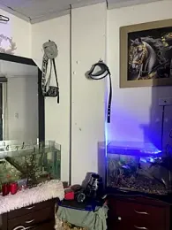 CRAZY-BOY99 webcam stripchat model stream image