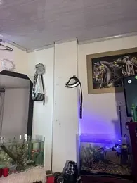 CRAZY-BOY99 webcam model stream image