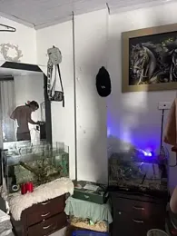 CRAZY-BOY99 webcam model stream image