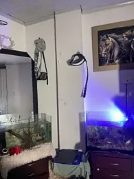 CRAZY-BOY99 webcam model stream image