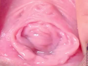 horny_moly webcam model stream image