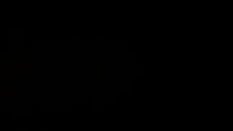 PROCOUPLEX0 webcam model stream image