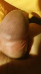 ECM86 webcam model stream image