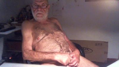 Seniorhengst webcam model stream image