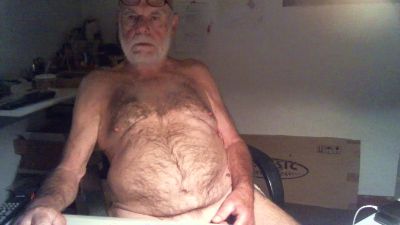 Seniorhengst webcam model stream image