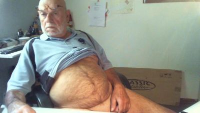 Seniorhengst webcam model stream image